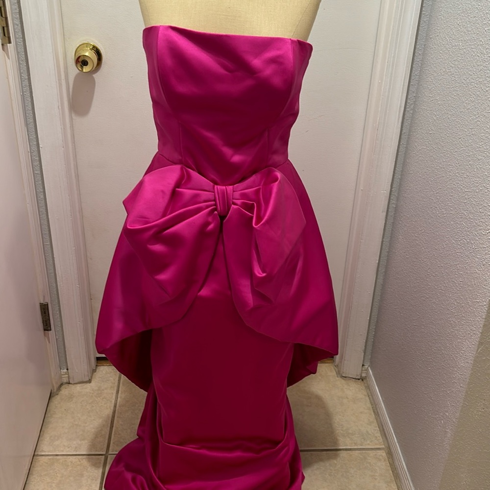 Beautiful Hot Pink Formal (see description)